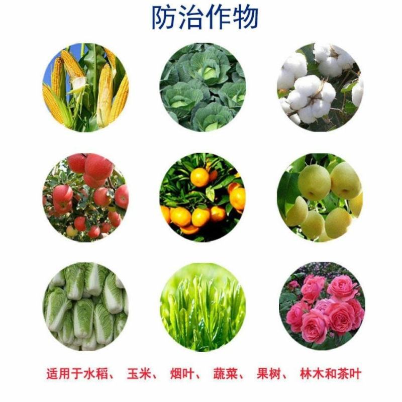 苏云金杆菌蔬菜专用杀虫剂果树青菜菜青虫钻心虫毛毛虫农用药