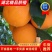 湖北秭归精品纽和尔脐橙供应中！果园面干净，个头均匀！