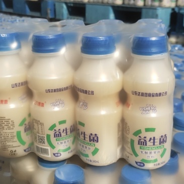 乳酸菌胃动力饮料益生菌，质优价低，欢迎咨询订购