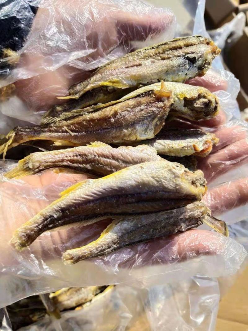 黄鱼酥黄花鱼干高温烘干网红零食常年有货！厂家直供