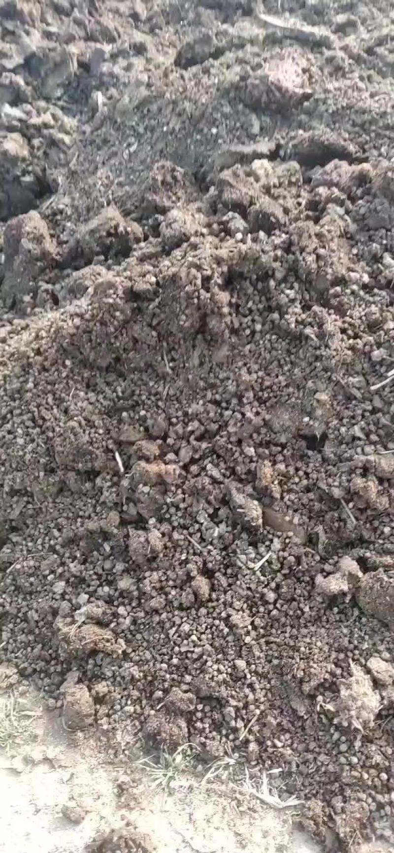 山东济宁发酵羊粪有机肥货源充足全国发货