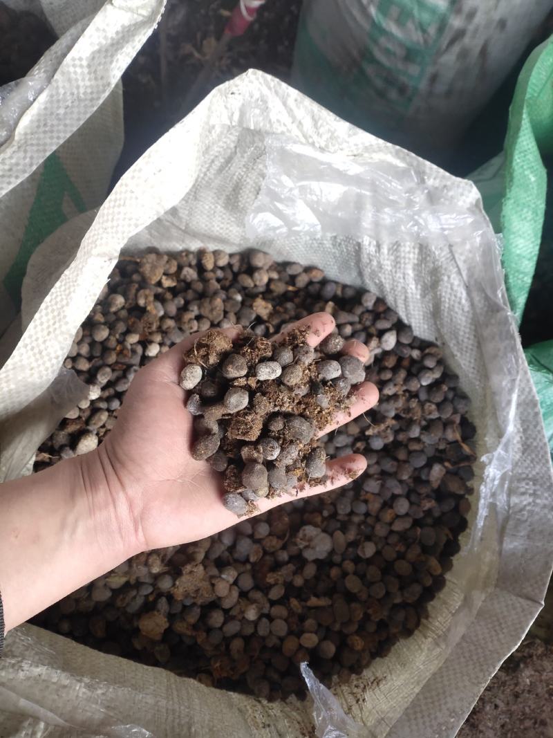 山东济宁发酵羊粪有机肥货源充足全国发货