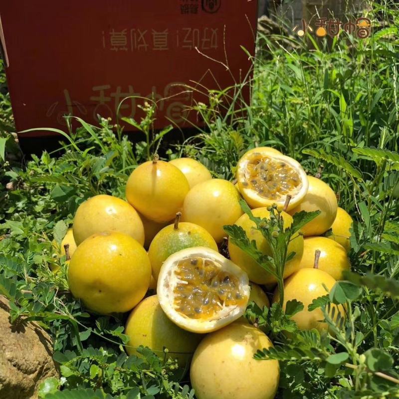 好货不愁卖！要的继续对接，一件代发团购市场装货都可以对接
