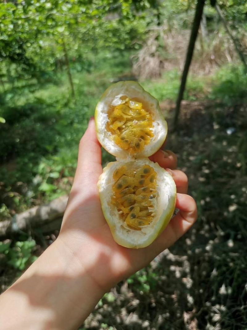 好货不愁卖！要的继续对接，一件代发团购市场装货都可以对接