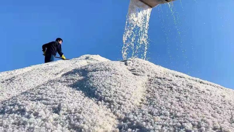 食用海盐/精制盐/细盐/自然海水盐/无抗结剂/厂家直销