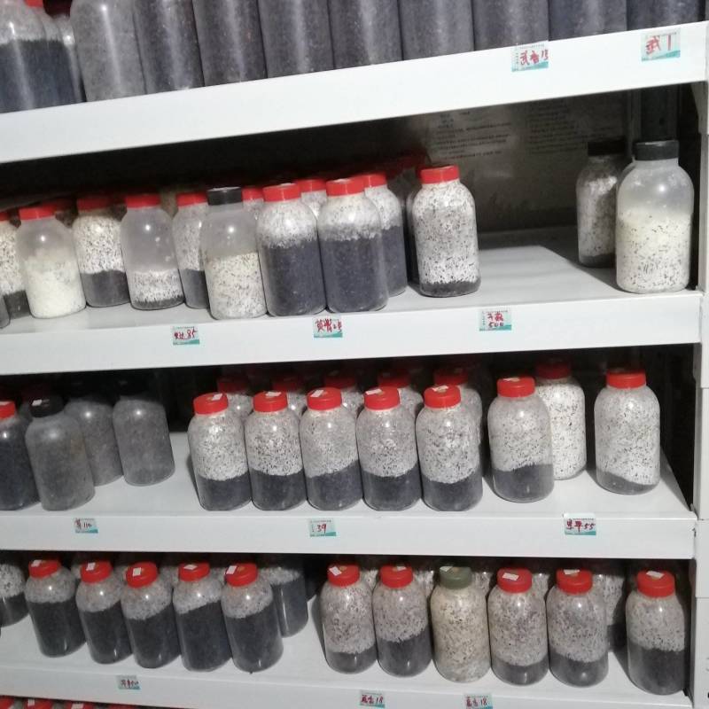 香菇原种，800毫升塑料瓶装，纯棉籽壳培养基，高压灭菌制
