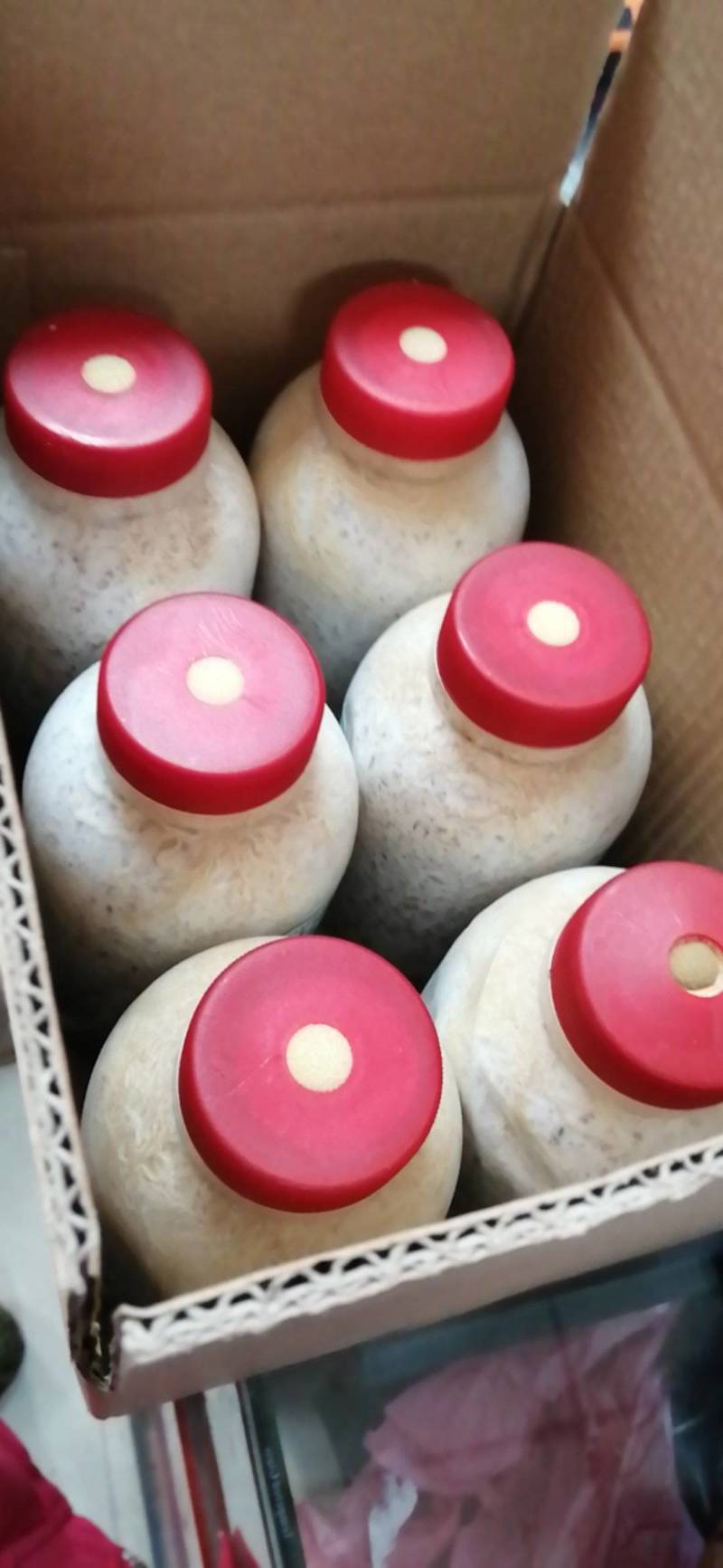 香菇原种，800毫升塑料瓶装，纯棉籽壳培养基，高压灭菌制