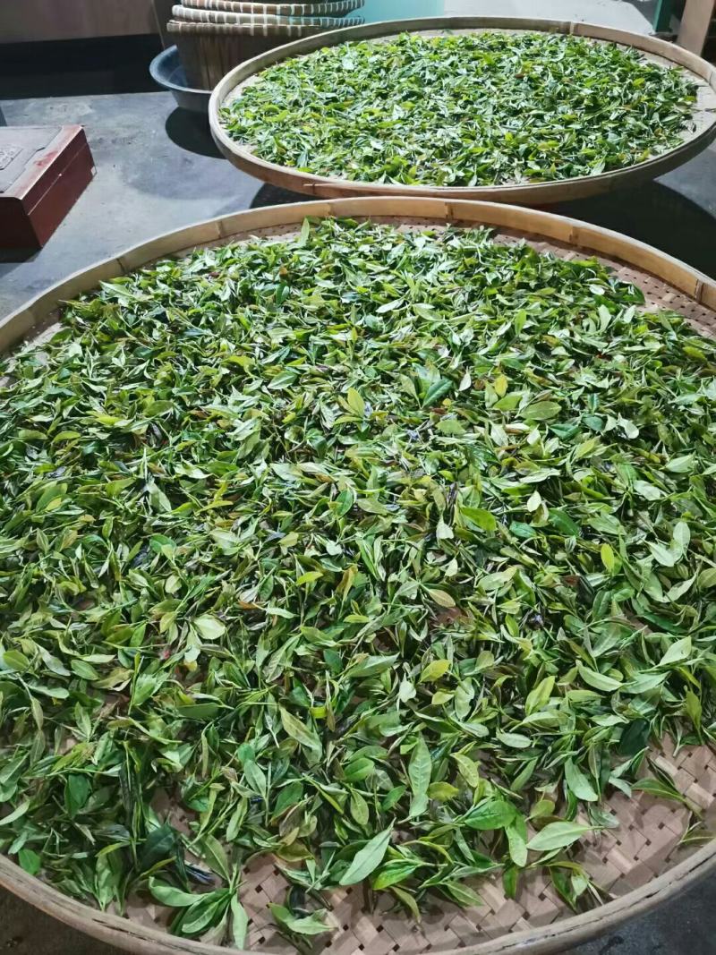 一杯好茶，自然酿造