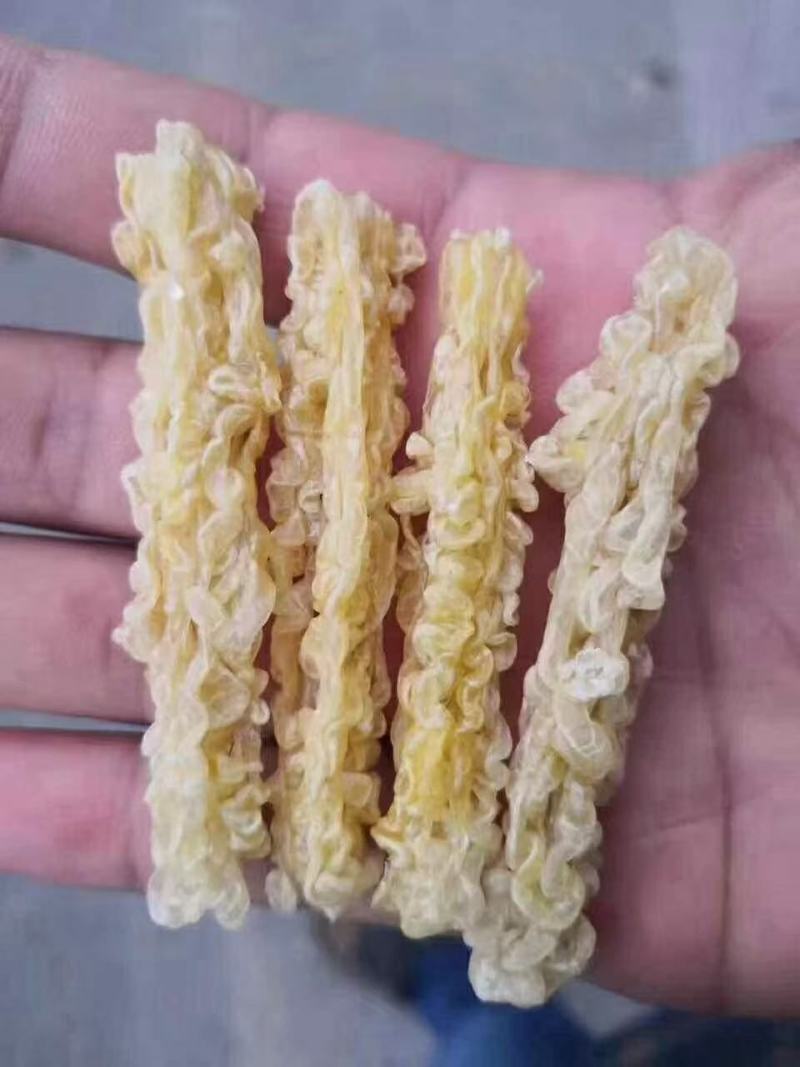 林蛙油碎油断油长白山雪蛤足干线油500克特价批发