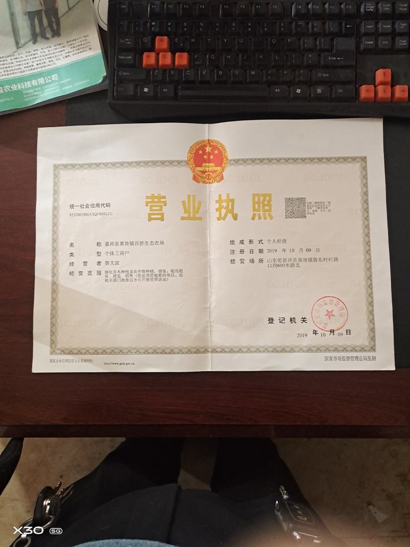 青山羊青山羊羔怀孕青山羊散养青山羊全国包邮偏远地区除外