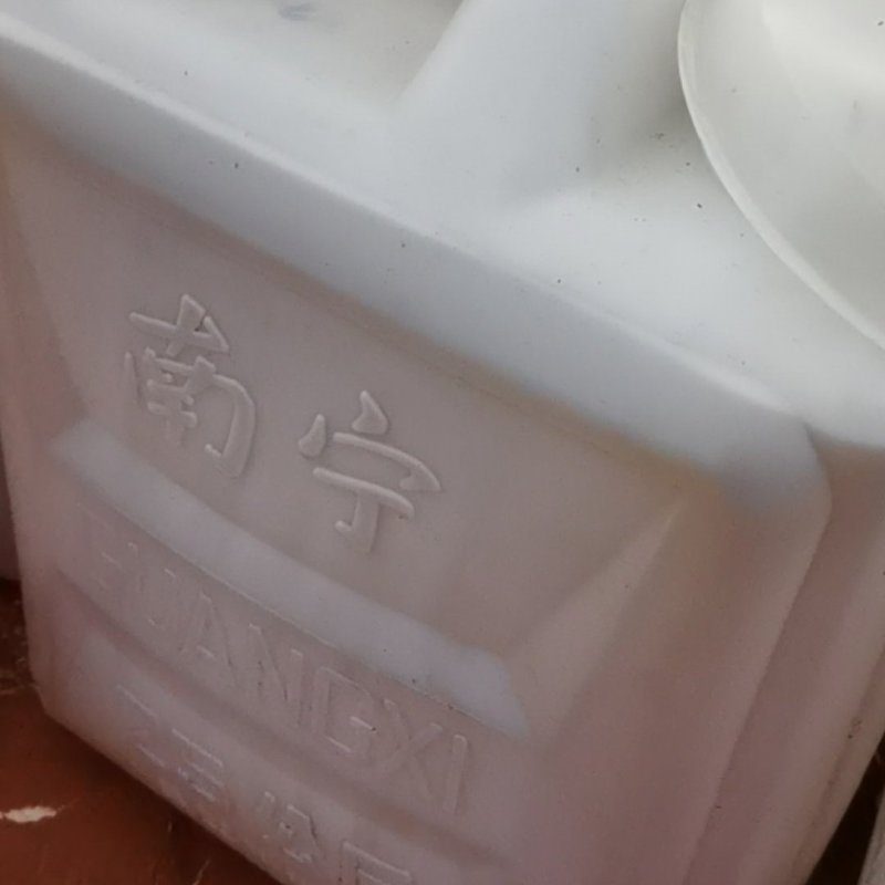 野生山茶油