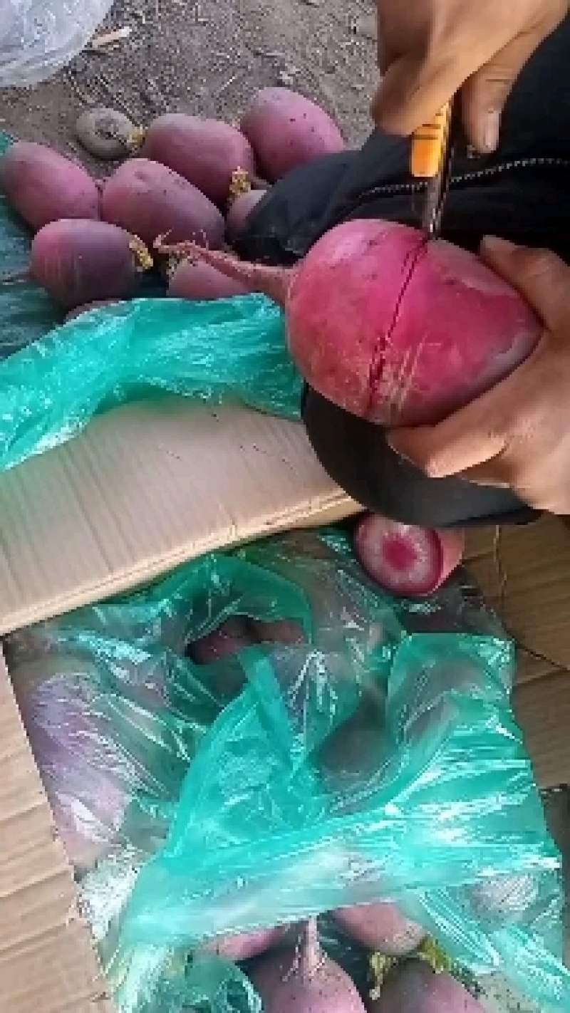冰糖心水果萝卜，产地直发，量大从优，欢迎进店联系