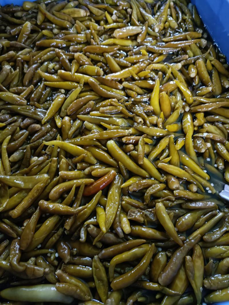 小米辣，野山椒。质量好，味道不错