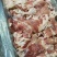 猪肉四肥六瘦水饺馅包子馅罐香肠都是人间美味