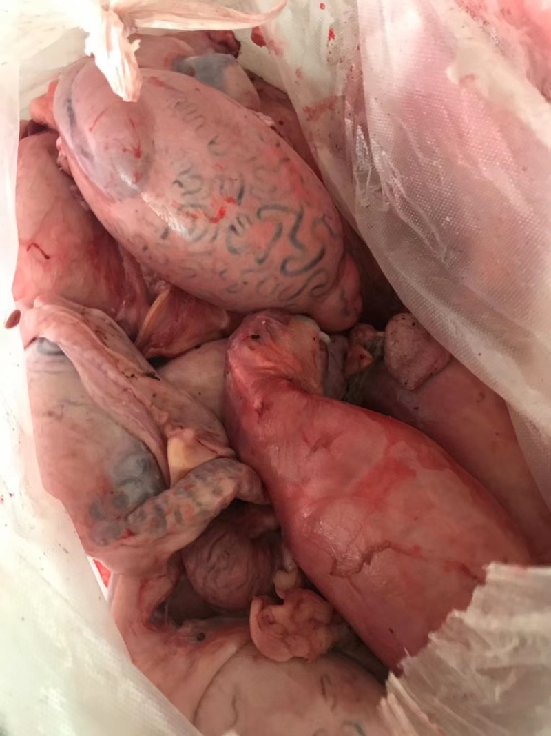 牛蛋牛睾丸货源充足，价格优惠，欢迎来电咨询