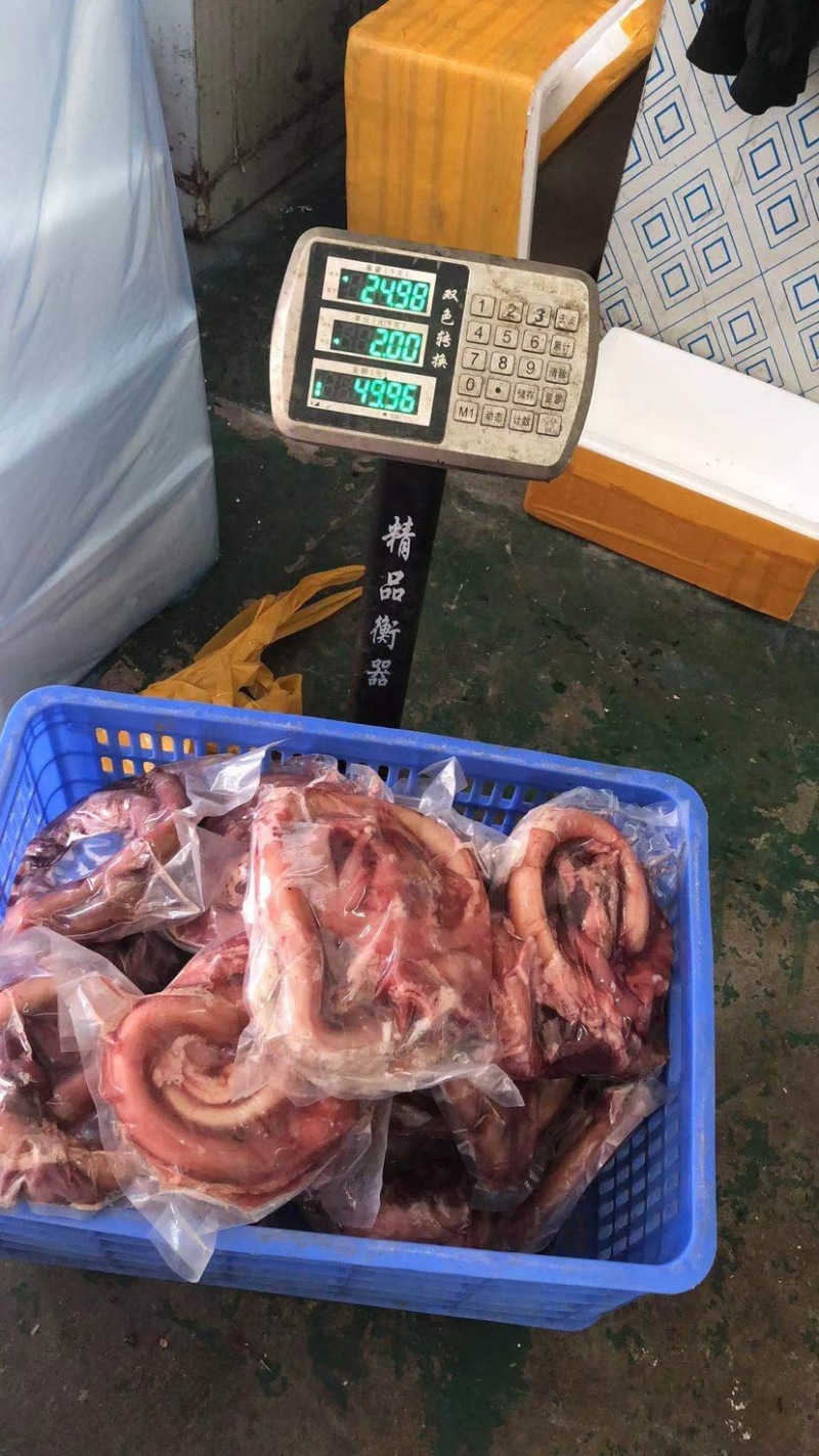 国产净牛鞭货源稳定价格优惠欢迎咨询支持视频看货