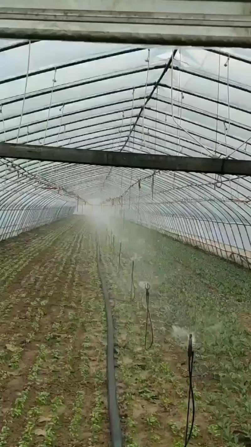Pe水管，黑色盘管324050给水滴灌自来水管热熔管
