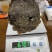 包邮西藏桑黄正宗金边桑树桑黄包化验检测贵一点更放心
