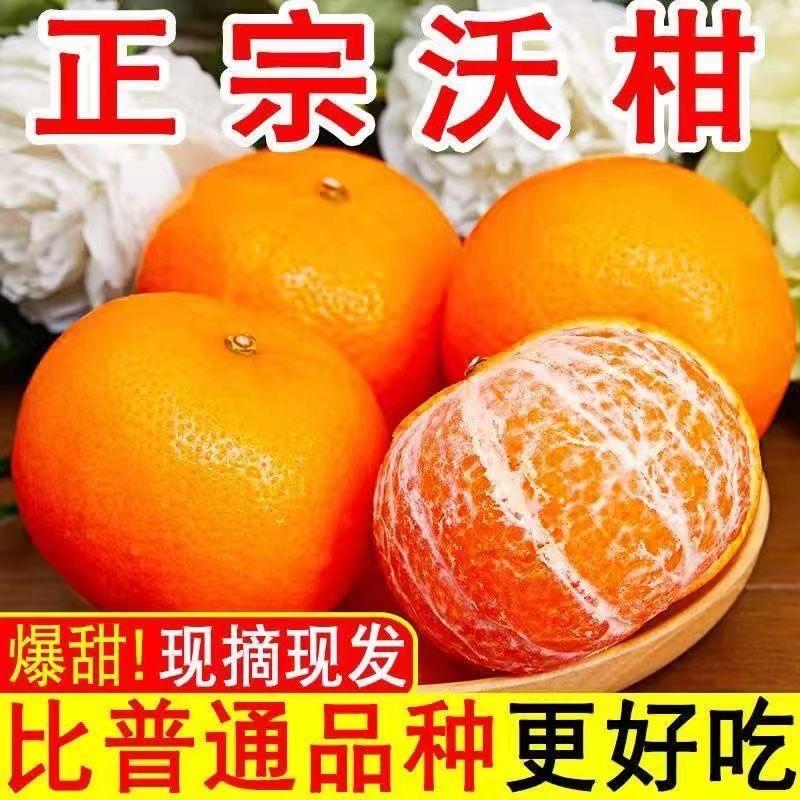 【精品广西沃柑】超甜正宗广西沃柑新鲜水果批发
