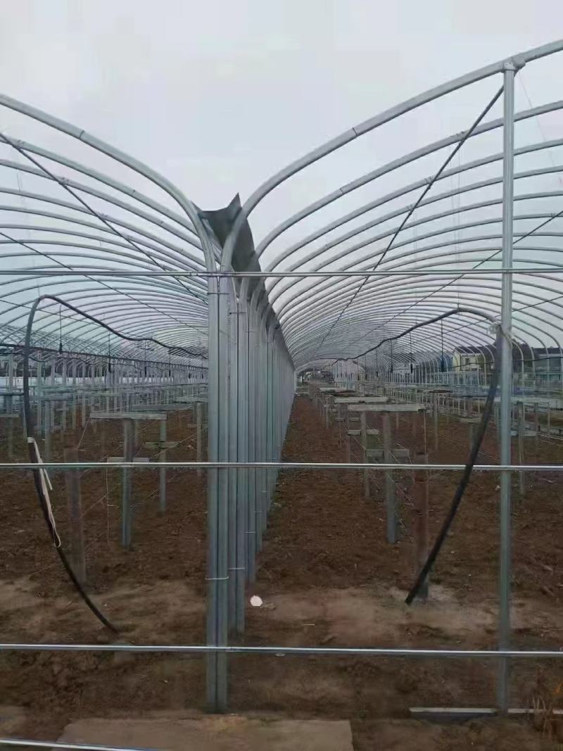 连栋连体智能大棚厂家直销质量好工期快价格美丽