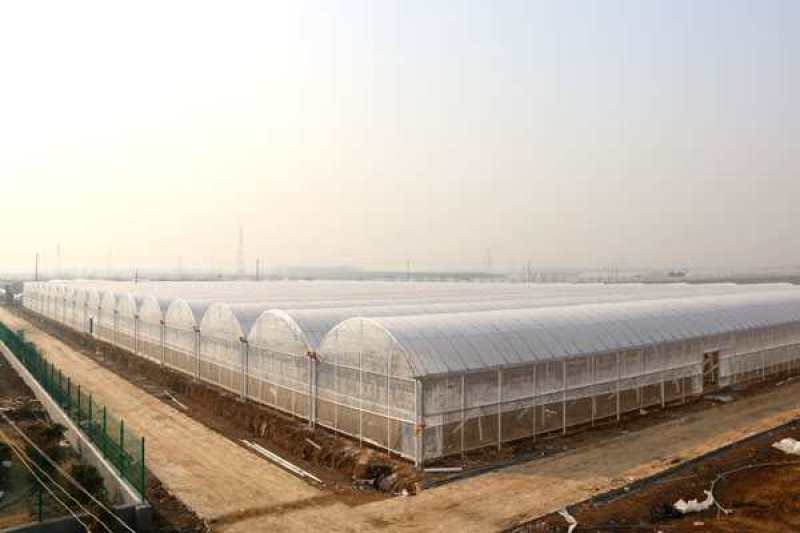 连栋连体智能大棚厂家直销质量好工期快价格美丽