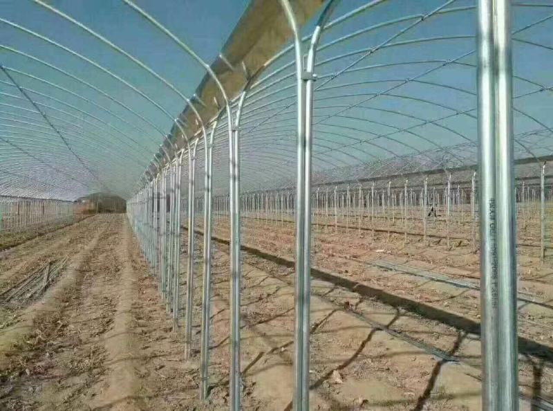 连栋连体智能大棚厂家直销质量好工期快价格美丽