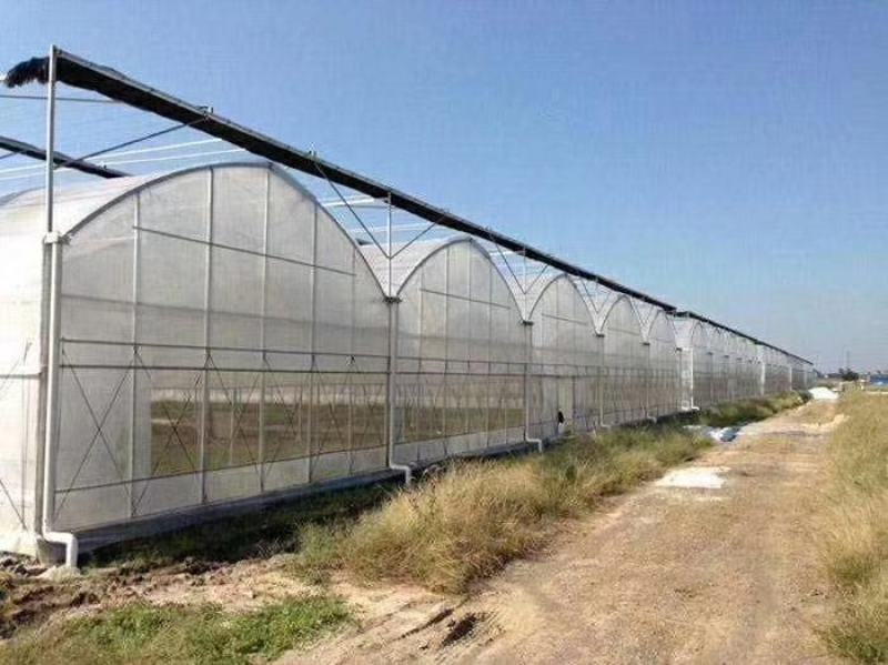 连栋连体智能大棚厂家直销质量好工期快价格美丽