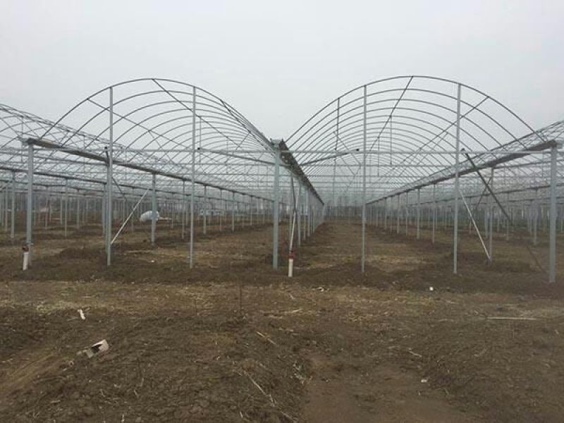 连栋连体智能大棚厂家直销质量好工期快价格美丽