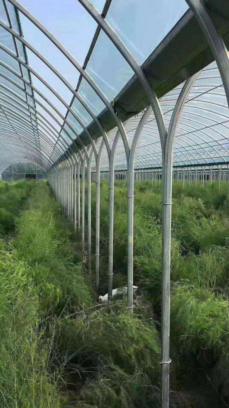 连栋连体智能大棚厂家直销质量好工期快价格美丽
