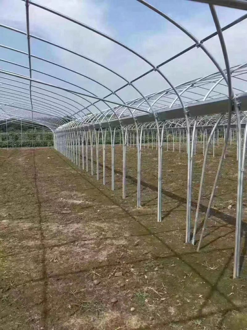 连栋连体智能大棚厂家直销质量好工期快价格美丽
