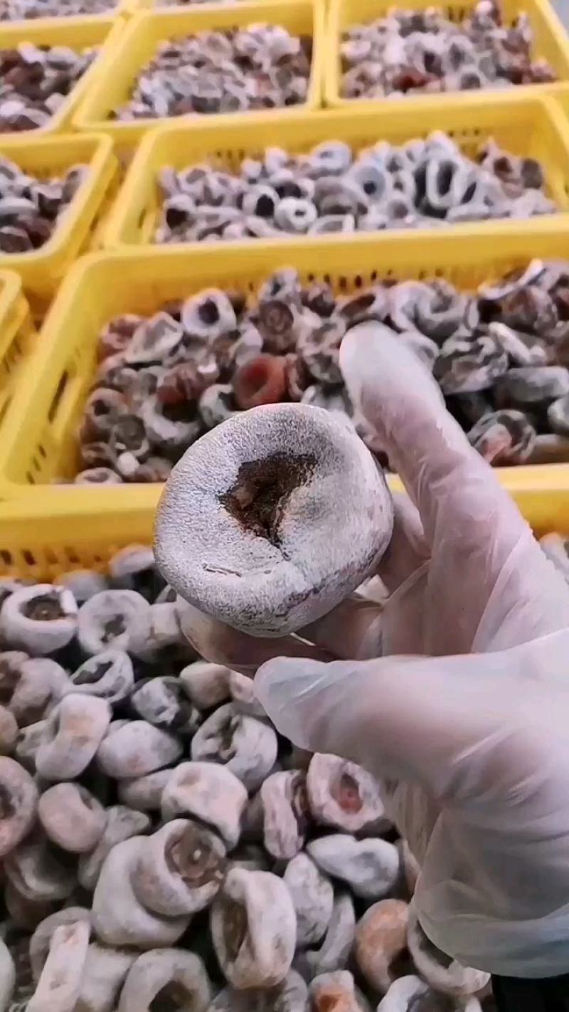 高次饼广西桂林柿饼便宜柿饼地摊江湖货广西柿饼次饼口袋饼