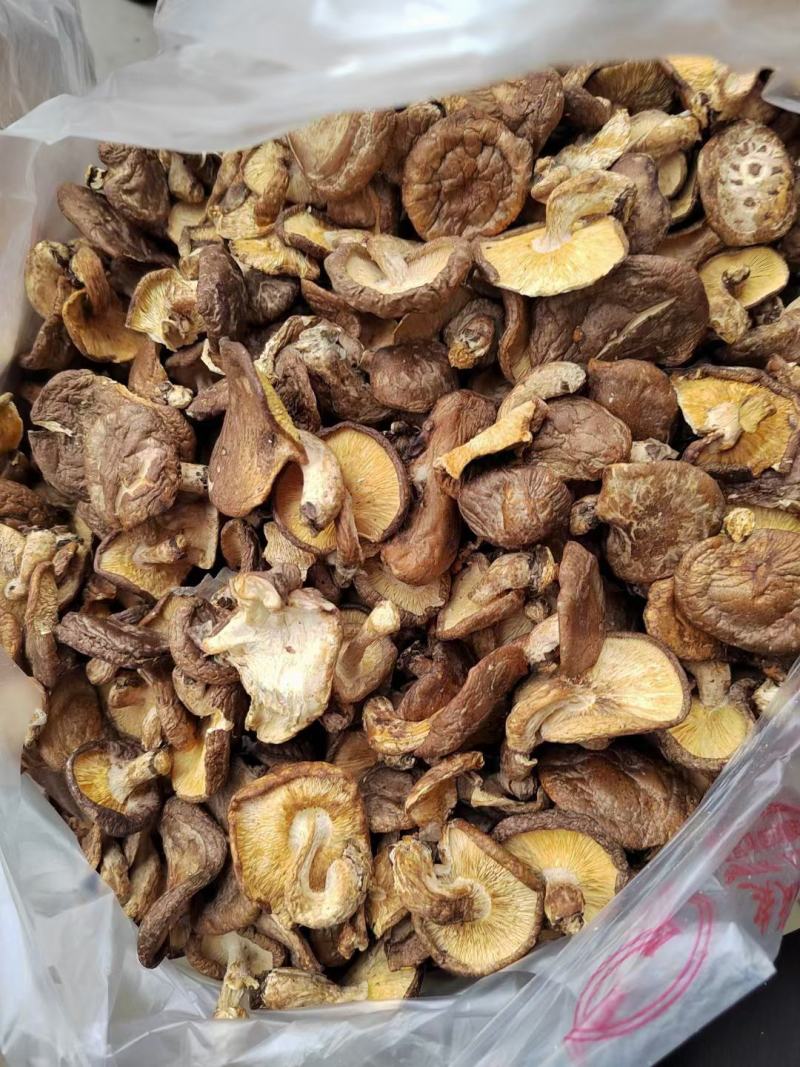 巴马野生香菇干货干香菇新货