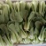 油菜安徽上海青专业打包打冷一条龙量大从优欢迎咨询