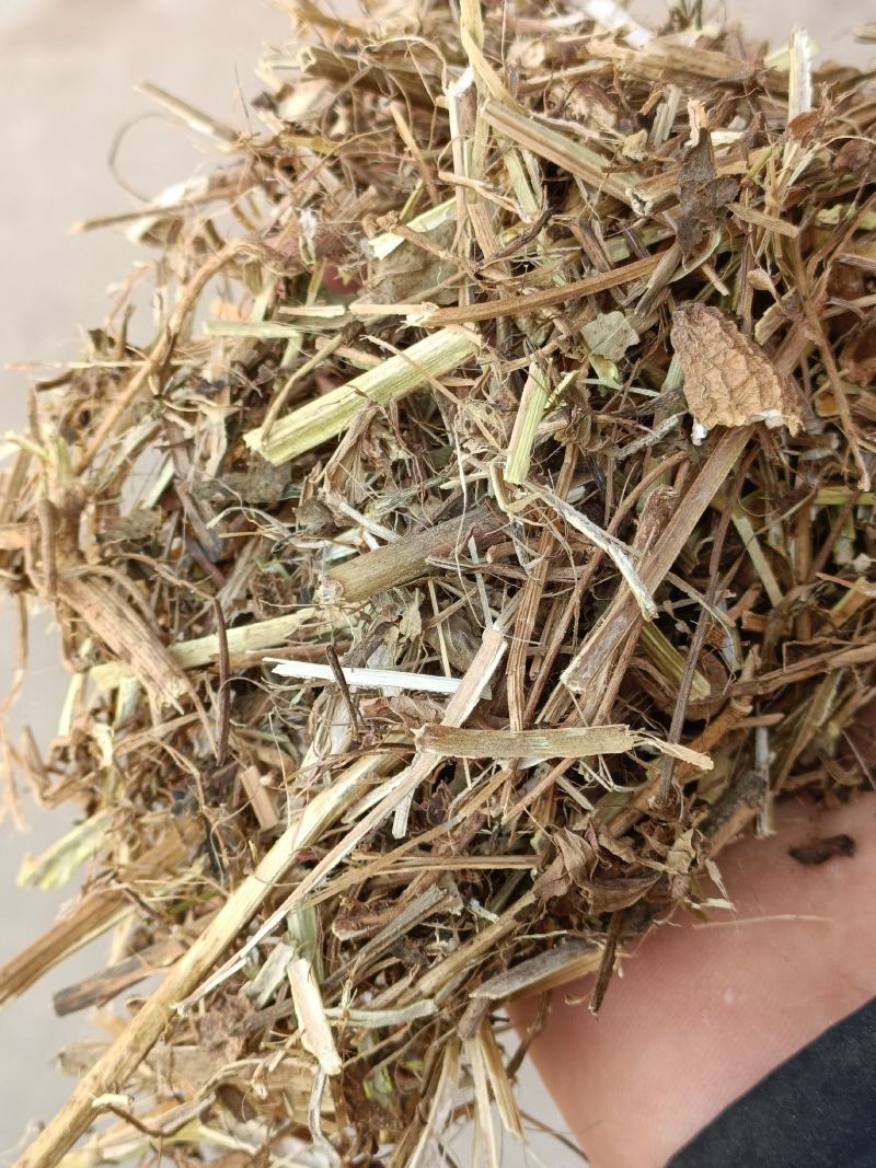 养殖饲料原料花生秧羊饲料切断花生秧无土无膜无霉变