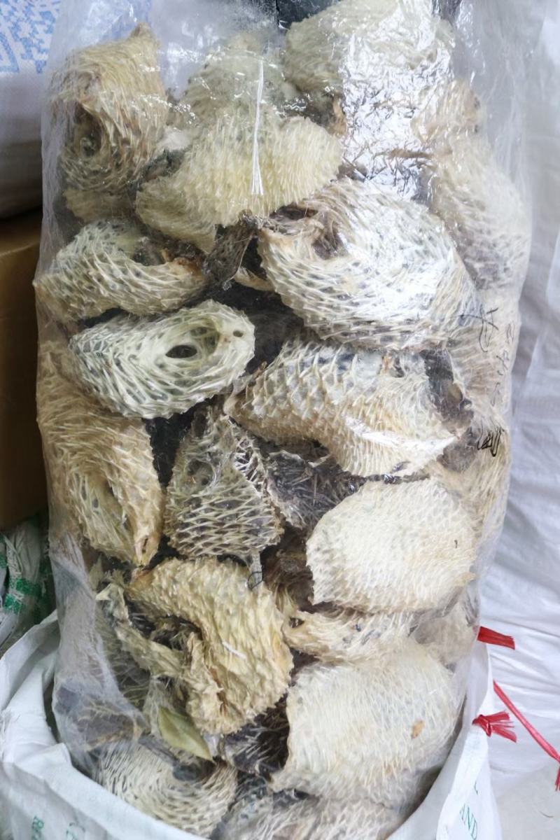 大号刺龟皮一斤3-4个短刺新鲜形状好看个个都漂亮新鲜