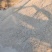 厂家直销玉米油渣粉，牛羊猪鸡鸭鹅的好饲料，欢迎前来订购，