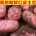 【可视频看货】定西青署9号质量保证.口感好、精选优质土豆