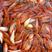 红鲤鱼苗，长期供应优良鱼苗，场地直销欢迎订购。