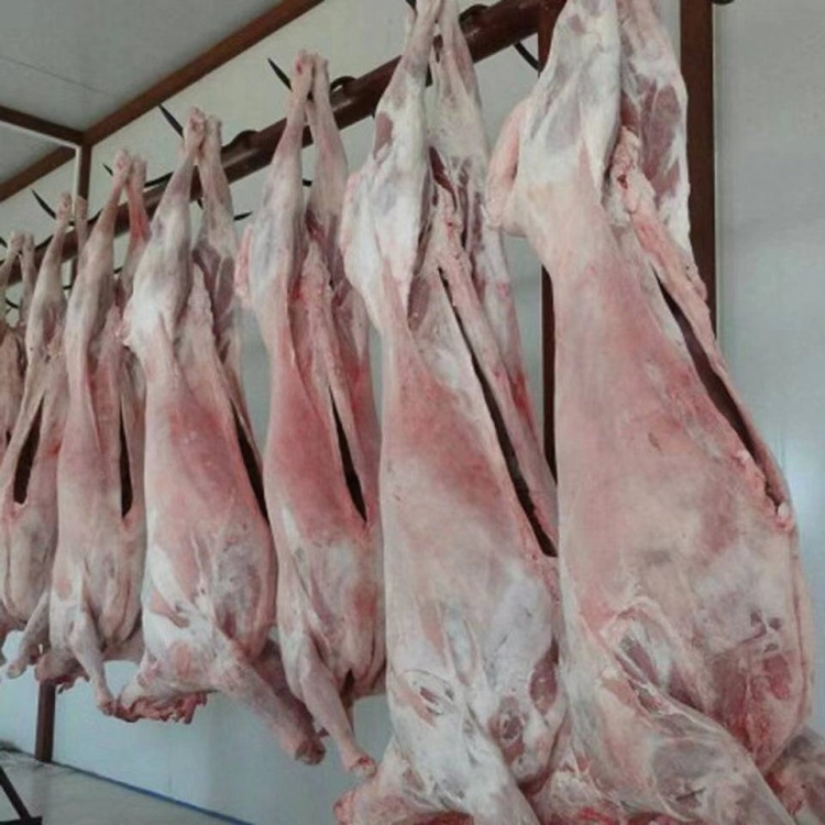 哪里可以购买羊驼肉呢图片视频教程