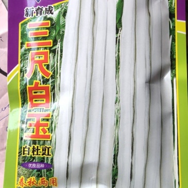 三尺白玉白杜豇豆种子，