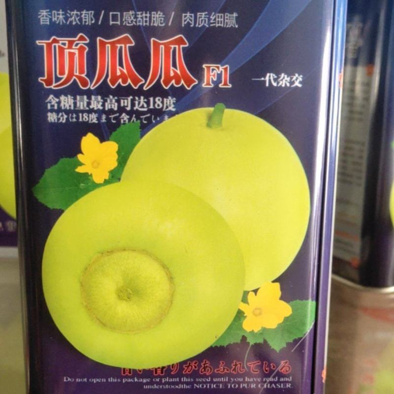 顶瓜瓜甜瓜种子，香味浓郁，口感甜脆，肉质细腻，
