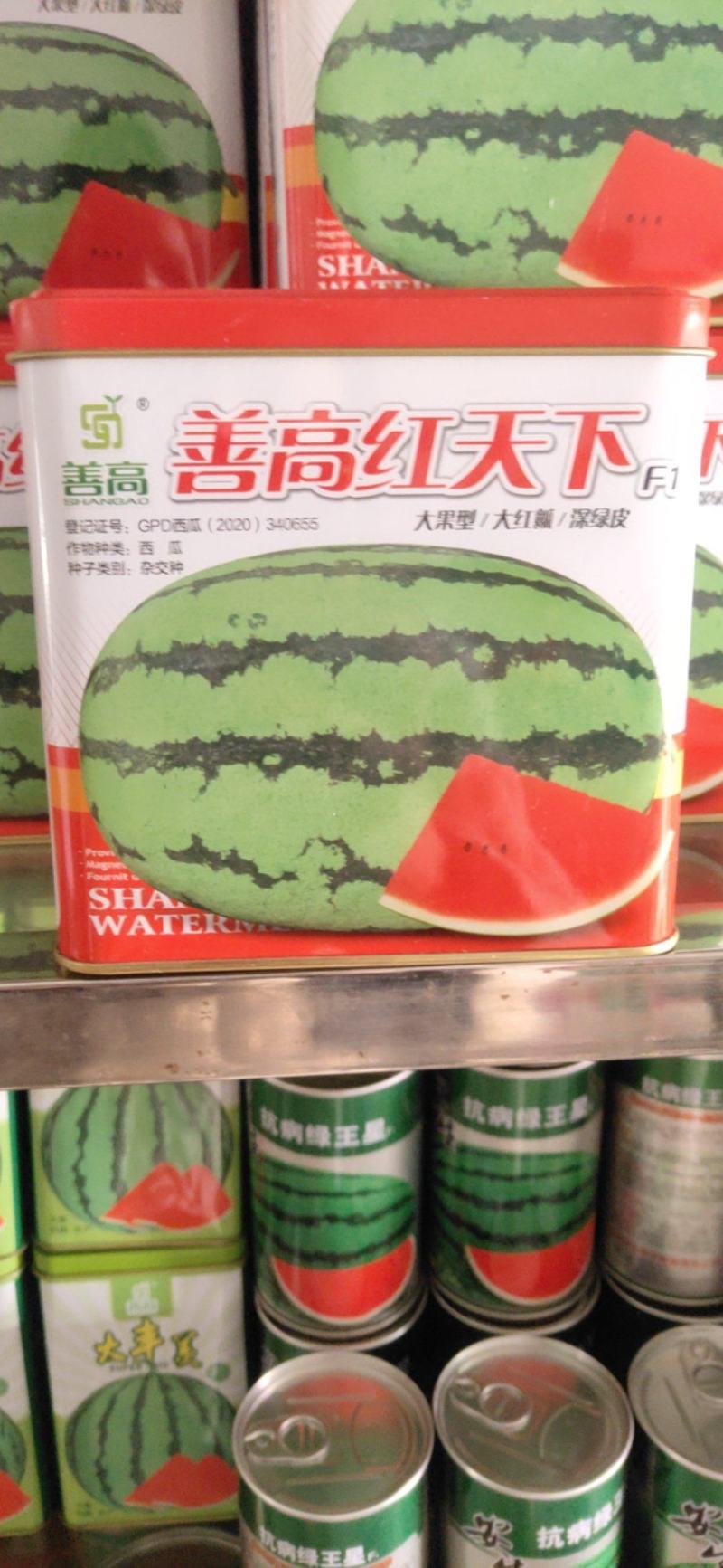 善高红天下西瓜种子，果皮深绿色，