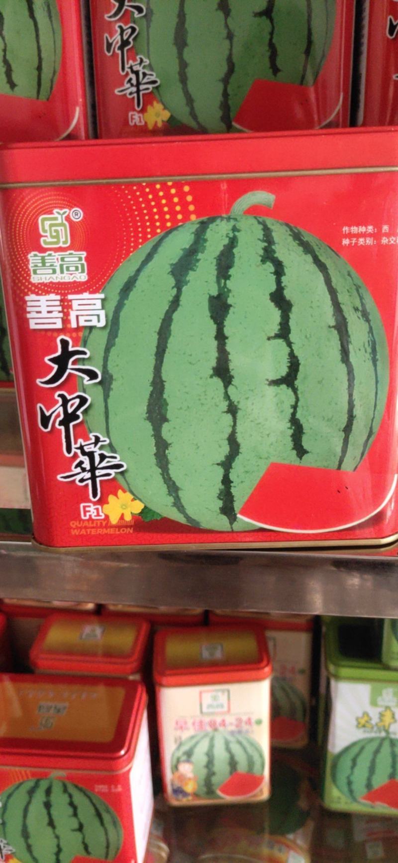 善高大中华西瓜种子，果皮深绿色，