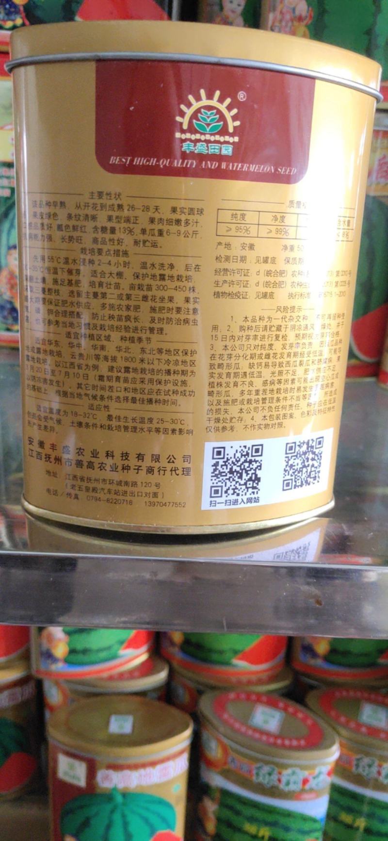 善高地雷瓜种子，果皮绿色，