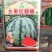 大果红麒麟西瓜种子。早熟品种，