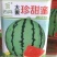 大果珍甜蜜西瓜种子一代杂交，