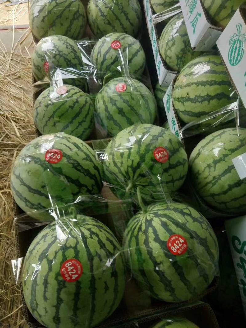 【江苏冰糖美都西瓜】大量上市啦需要的联系