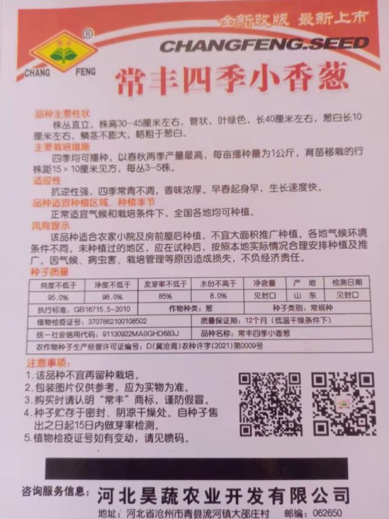 小香葱籽种子四季易种小葱种子阳台室内盆栽葱种子批发家庭菜