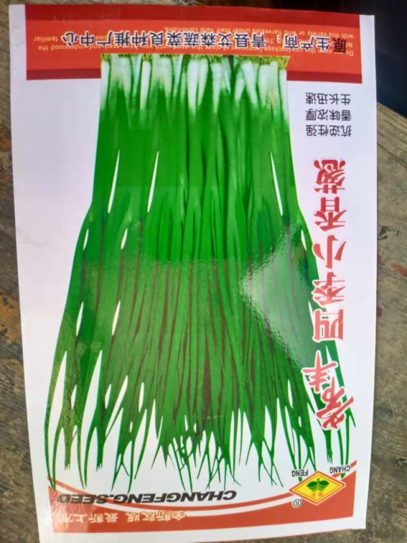 小香葱籽种子四季易种小葱种子阳台室内盆栽葱种子批发家庭菜