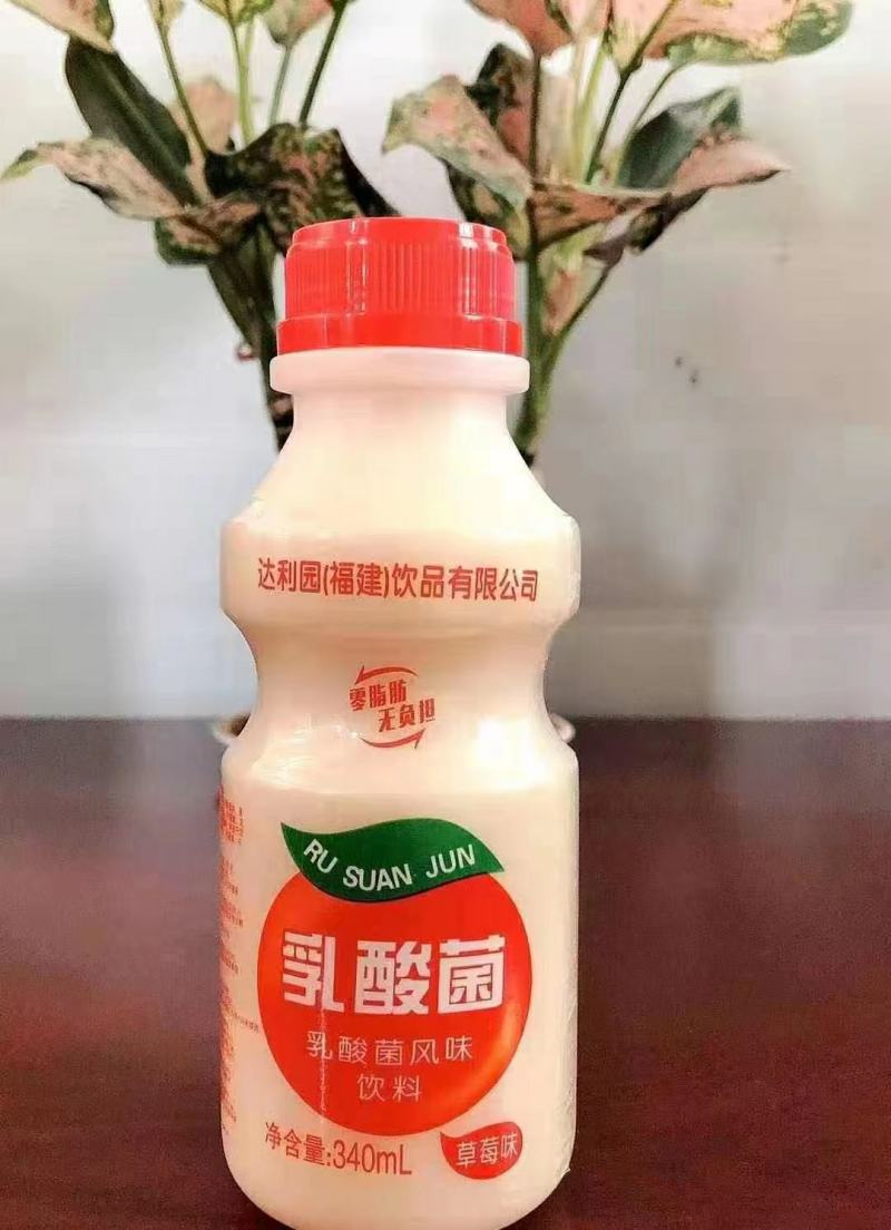 乳酸菌